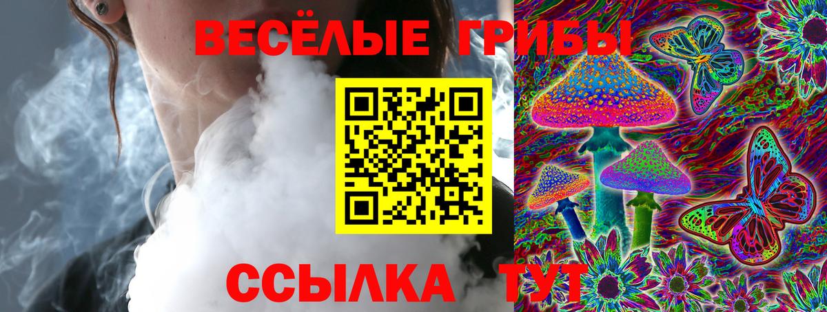 Псилоцибиновые грибы Psilocybe  Вход с VPN  Псилоцибиновые грибы мицелий  Симферополь 